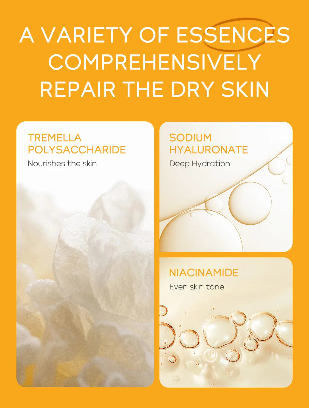 Turmeric + Vitamin C Brightening Skincare Set (5-Piece Kit)